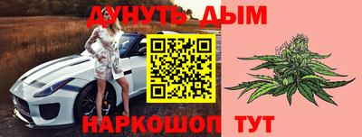 бошки Шебекино