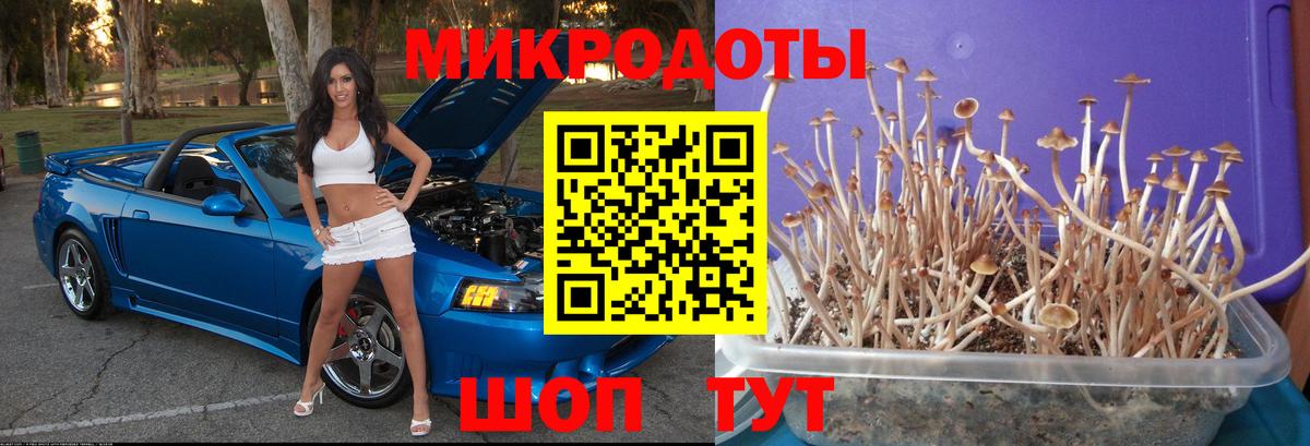 Псилоцибиновые грибы Magic Shrooms  Вход с VPN  Добрянка  Галлюциногенные грибы Magic Shrooms 